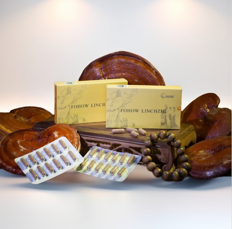 FOHOW Linchzhi, 24 Kapseln – Hochwertiges Nahrungsergänzungsmittel mit Reishi-Pilz-Extrakt Mein Shop